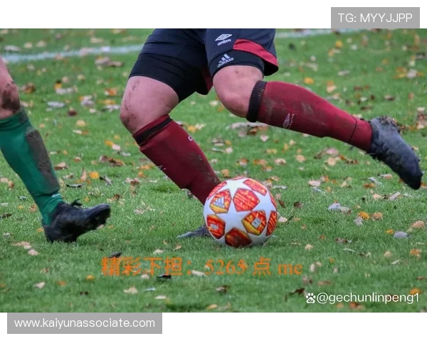 开云体育体育：打造专业化、多元化的体育赛事新体验